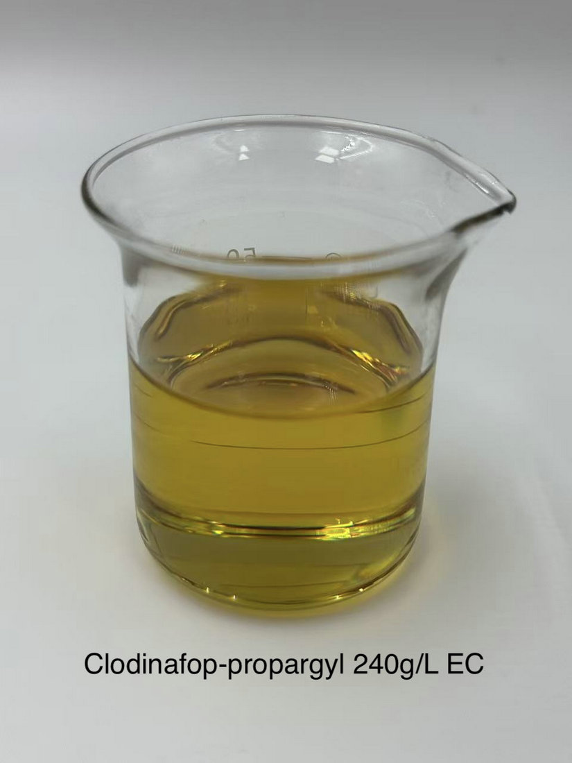 Clodinafop-propargyl 240g/L EC
